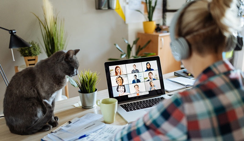 Why Access Control Matters in the Age of the Hybrid Workforce